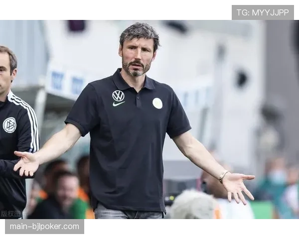 数据分析公司成为新玩家：深度合作德甲多队，提供实时比赛决策支持