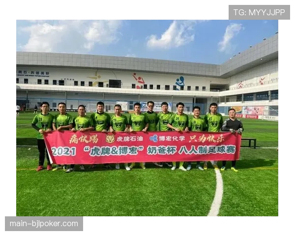 浙江青少年排球冠军赛按年龄分甲、乙、丙三个组别，各组别竞赛规则明确区分